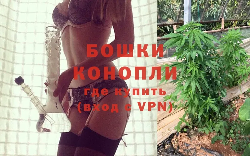 Бошки марихуана White Widow  наркота  Подольск 